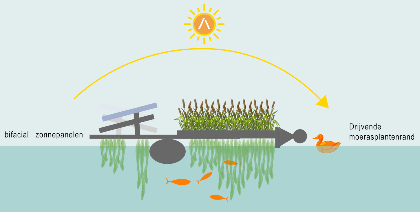 Illustratie Vogelvlucht Haarrijnseplas